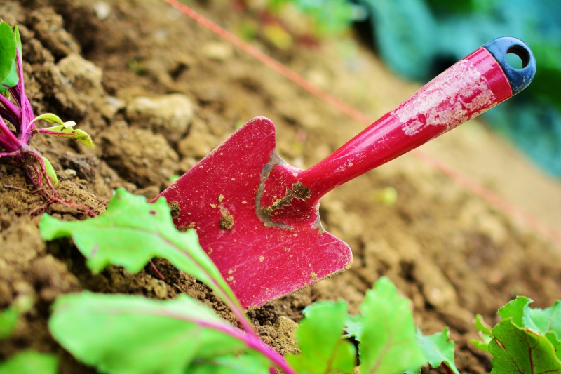 sasu-LA GARDE FREINET-min_gardening-2448134